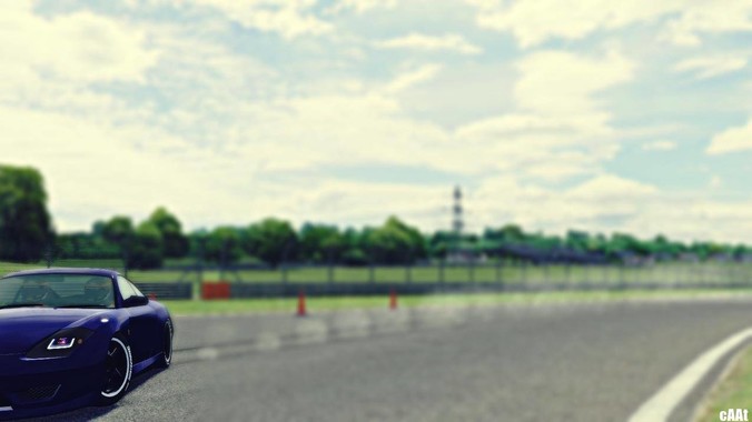 为什么买的小乌龟总是养不活呀？